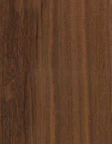 אגוז אפריקאי